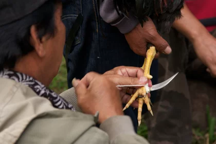 Photo of a man holding a pair of scissors cutting a piece of food, Indonesia, February 2013, Reinder Nijhoff