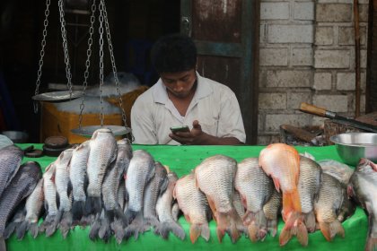 Photo of a man standing in front of a table filled with fish, Myanmar, India, Nepal, June 2015, Reinder Nijhoff