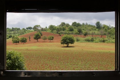 Photo of a view of a field from a window, Myanmar, India, Nepal, June 2015, Reinder Nijhoff