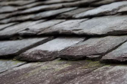 Photo of a close up of a stone roof with moss growing on it, Myanmar, India, Nepal, June 2015, Reinder Nijhoff