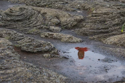 Photo of a puddle of water with a red substance in it, Iceland, June 2016, Reinder Nijhoff