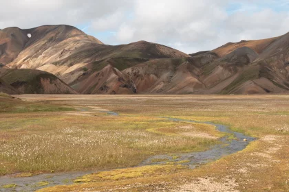 Photo of a grassy field with a stream running through it, Landmannalaugar &rarr; Skogafoss, August 2017, Reinder Nijhoff