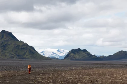 Photo of a cow standing in a field with mountains in the background, Landmannalaugar &rarr; Skogafoss, August 2017, Reinder Nijhoff