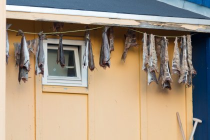 Photo of a blue and yellow building with clothes hanging from a line, Greenland, October 2017, Reinder Nijhoff