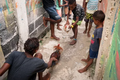 Photo of a group of people standing around a chicken, Santa Cruz del Islote, Colombia, December 2017, Reinder Nijhoff