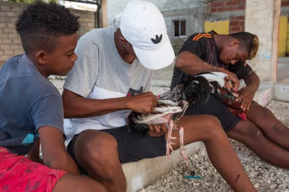 Photo of a group of men sitting on top of a bench, Santa Cruz del Islote, Colombia, December 2017, Reinder Nijhoff