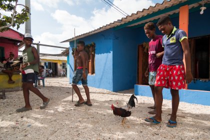 Photo of a group of people standing around a chicken, Santa Cruz del Islote, Colombia, December 2017, Reinder Nijhoff