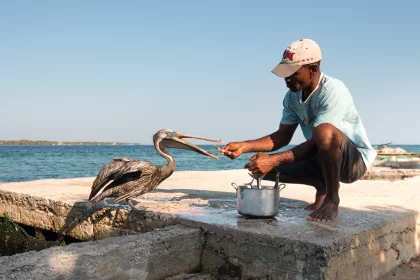 Photo of a man with a bucket is feeding a bird, Santa Cruz del Islote, Colombia, December 2017, Reinder Nijhoff