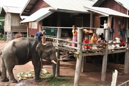 Photo of a man riding on the back of an elephant, Thailand, Laos, Cambodja & Vietnam, November 2005, Reinder Nijhoff