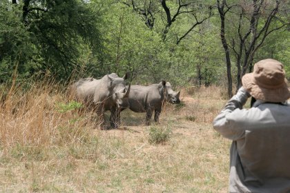 Photo of a man is taking a picture of two rhinos, Zimbabwe, Mozambique & South Africa, December 2006, Reinder Nijhoff