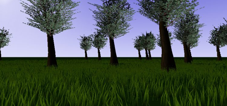 Grass Experiment Grass Experiment